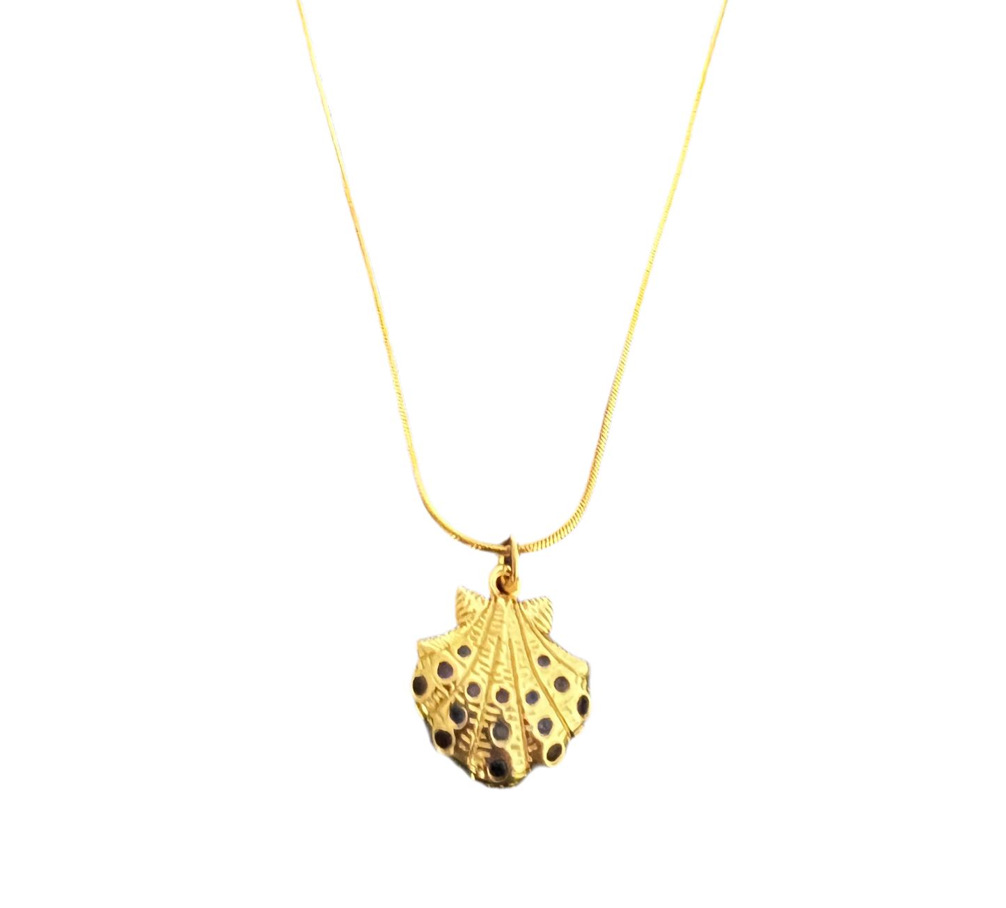 GOLDI SHELL