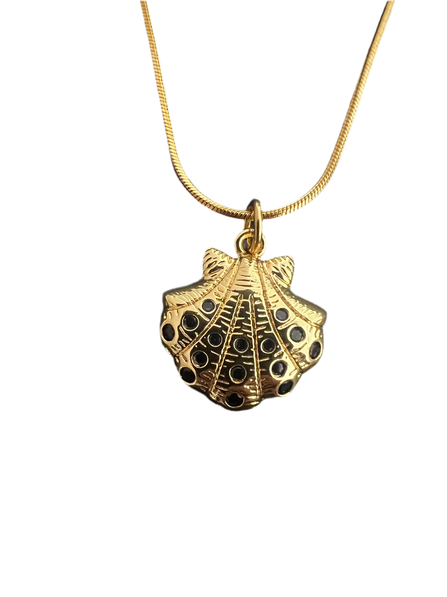 GOLDI SHELL