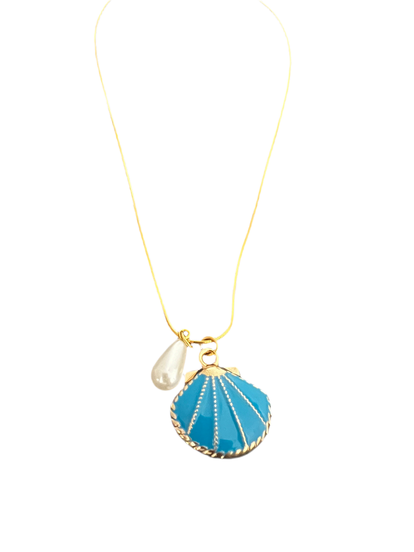 SEASHELL