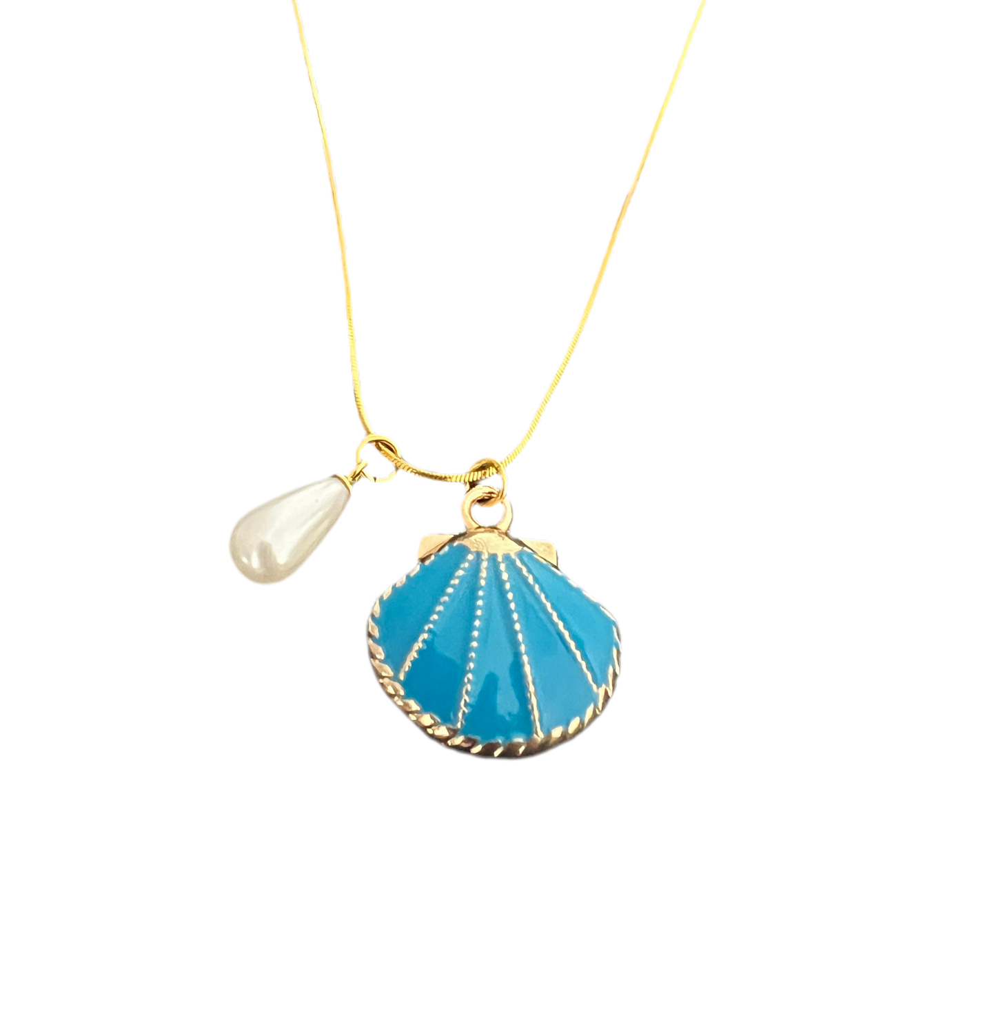 SEASHELL