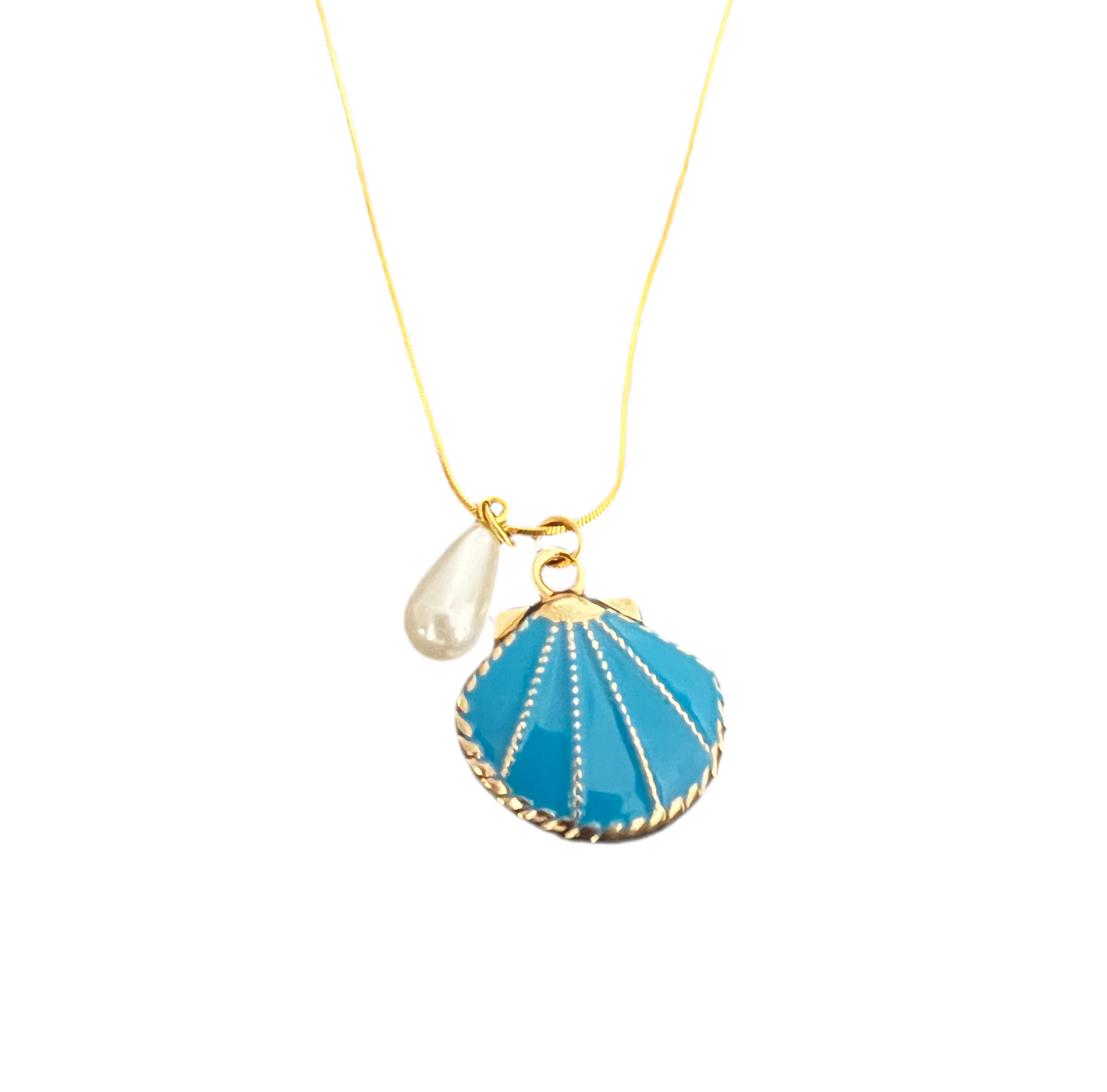 SEASHELL