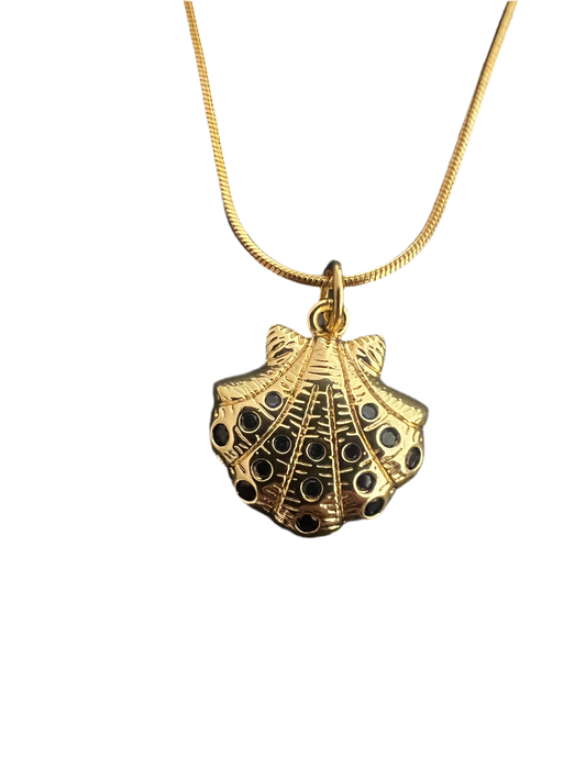 GOLDI SHELL