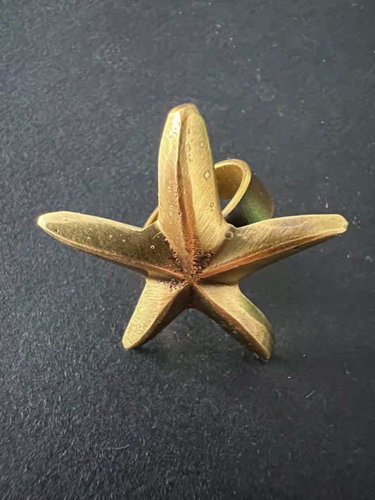 THE STAR RINGS